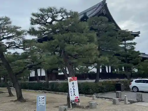 建仁寺（建仁禅寺）(京都府)