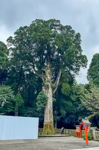 霧島神宮(鹿児島県)