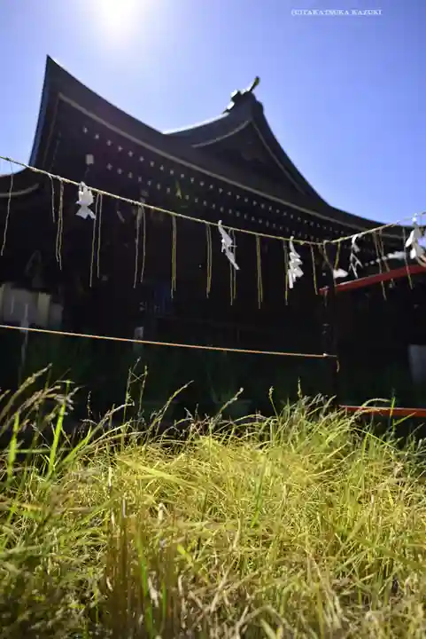 磐井神社(東京都)