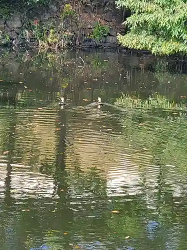 龍顔寺(長野県)