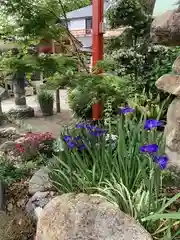 尼崎えびす神社の庭園