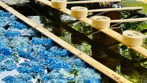 土津神社｜こどもと出世の神さまの手水舎