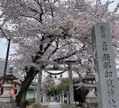 彌都加伎神社の鳥居