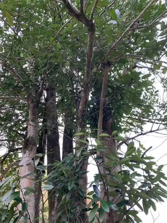 長泉寺(埼玉県)