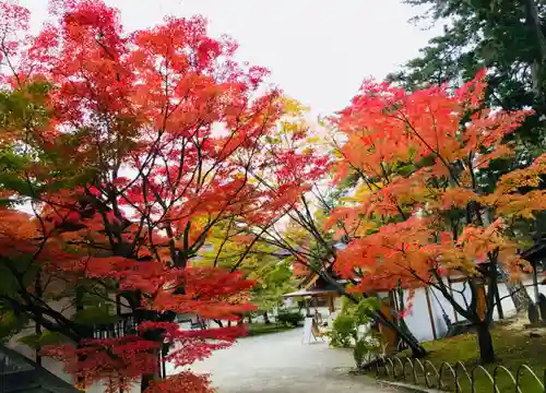 毛越寺の自然