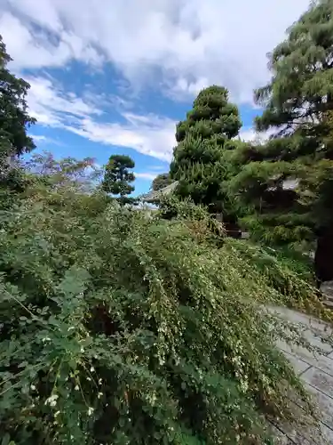 圓光禅寺（円光寺）の庭園