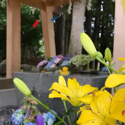 高司神社〜むすびの神の鎮まる社〜の手水