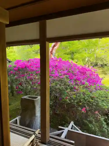 青蓮院門跡の{uncategorized: "未分類", other: "その他", undefined: "問題あり", building: "その他建物", grave: "お墓", sacred_gate: "鳥居", guardian: "狛犬", statue: "像", buddha: "仏像", history: "歴史", nature: "自然", garden: "庭園", animal: "動物", pagoda: "塔", temizu: "手水舎", mountain_gate: "山門・神門", sanctuary: "本殿・本堂", subordinate: "末社・摂社", art: "芸術", scenery: "景色", jizo: "地蔵", ema: "絵馬", goshuin: "御朱印", omikuji: "おみくじ", items: "授与品その他", amulet: "お守り", goshuincho: "御朱印帳", eats: "食事", festival: "お祭り", votive_dance: "神楽", shichigosan: "七五三参", wedding: "結婚式", experience: "体験その他", initially: "初詣", around: "周辺", anti_infection: "感染症対策"}
