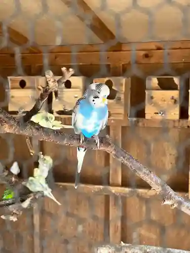 尾張猿田彦神社(愛知県)