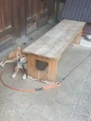 感通寺(東京都)