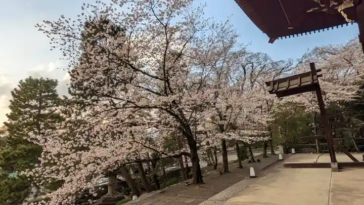 知恩院(京都府)