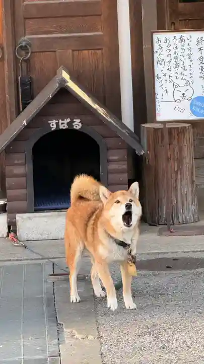 感通寺(東京都)
