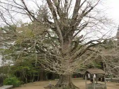 大山寺(徳島県)
