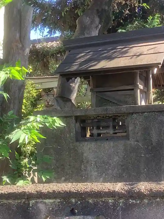 玉林寺(愛知県)