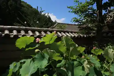 法起院(奈良県)