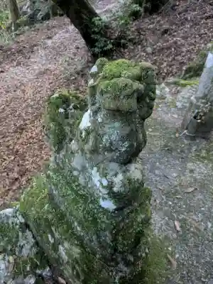 地主神社（桑の川の鳥居杉）(高知県)