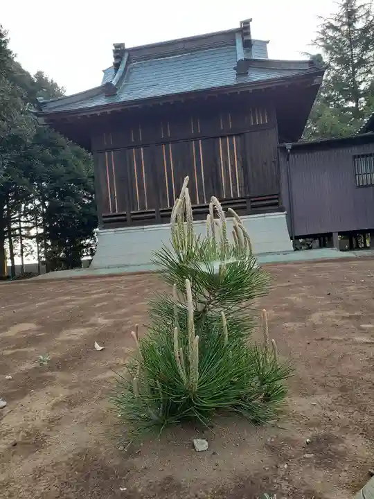 伏木香取神社の自然