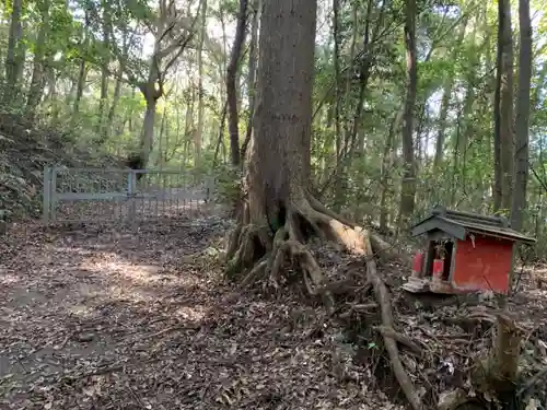 浅間神社の自然