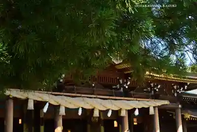 寒川神社(神奈川県)