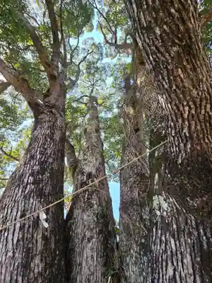 サムハラ神社 奥の宮(岡山県)