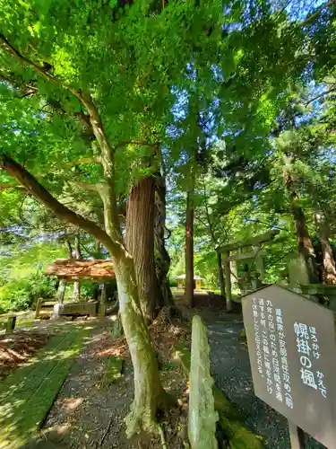 白河神社の自然