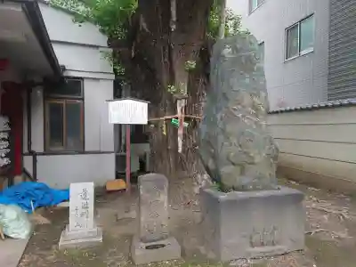 品川寺の{uncategorized: "未分類", other: "その他", undefined: "問題あり", building: "その他建物", grave: "お墓", sacred_gate: "鳥居", guardian: "狛犬", statue: "像", buddha: "仏像", history: "歴史", nature: "自然", garden: "庭園", animal: "動物", pagoda: "塔", temizu: "手水舎", mountain_gate: "山門・神門", sanctuary: "本殿・本堂", subordinate: "末社・摂社", art: "芸術", scenery: "景色", jizo: "地蔵", ema: "絵馬", goshuin: "御朱印", omikuji: "おみくじ", items: "授与品その他", amulet: "お守り", goshuincho: "御朱印帳", eats: "食事", festival: "お祭り", votive_dance: "神楽", shichigosan: "七五三参", wedding: "結婚式", experience: "体験その他", initially: "初詣", around: "周辺", anti_infection: "感染症対策"}