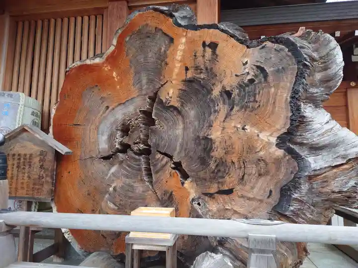 丹生川上神社(上社)(奈良県)