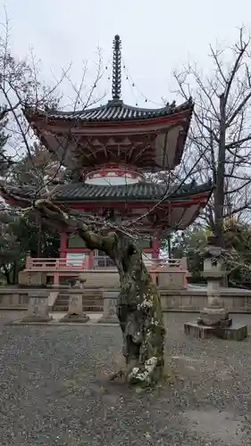 知恩院(京都府)
