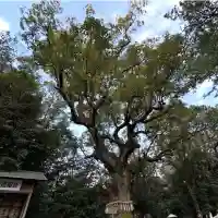 熱田神宮の{uncategorized: "未分類", other: "その他", undefined: "問題あり", building: "その他建物", grave: "お墓", sacred_gate: "鳥居", guardian: "狛犬", statue: "像", buddha: "仏像", history: "歴史", nature: "自然", garden: "庭園", animal: "動物", pagoda: "塔", temizu: "手水舎", mountain_gate: "山門・神門", sanctuary: "本殿・本堂", subordinate: "末社・摂社", art: "芸術", scenery: "景色", jizo: "地蔵", ema: "絵馬", goshuin: "御朱印", omikuji: "おみくじ", items: "授与品その他", amulet: "お守り", goshuincho: "御朱印帳", eats: "食事", festival: "お祭り", votive_dance: "神楽", shichigosan: "七五三参", wedding: "結婚式", experience: "体験その他", initially: "初詣", around: "周辺", anti_infection: "感染症対策"}