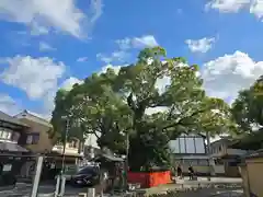 藤木社（賀茂別雷神社末社）(京都府)