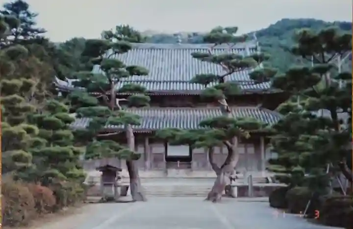 東光寺のその他建物