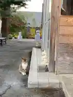 鹿角八坂神社の動物