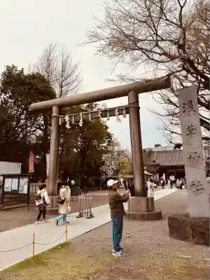 浅草神社の鳥居
