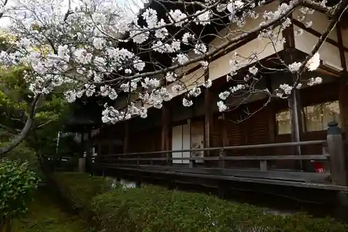 毘沙門堂門跡(京都府)