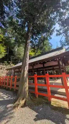 吉田神社(京都府)