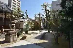 賢隆山久遠寺の庭園(2020年04月12日(日) 14時46分06秒投稿)