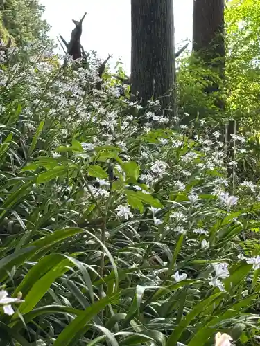 岩戸別神社(栃木県)