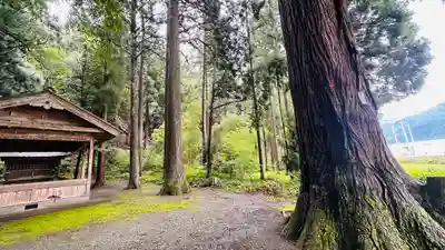 日枝神社(福井県)