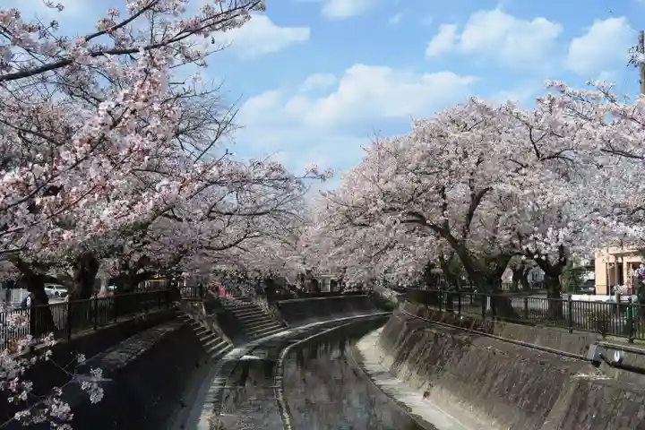 大日寺(愛知県)