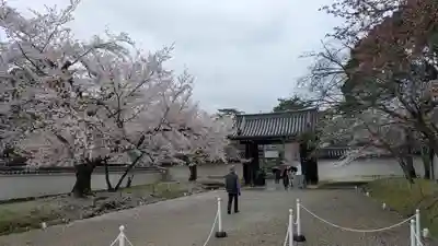 醍醐寺(京都府)