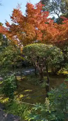 法寳閣檀林寺(京都府)