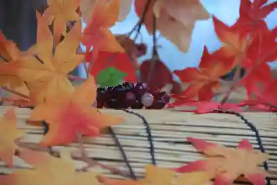 阿邪訶根神社の手水舎