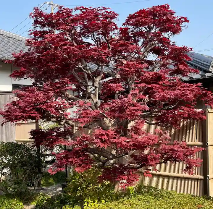 梅香寺(三重県)