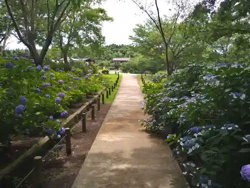 東本願寺本廟 牛久浄苑（牛久大仏）(茨城県)