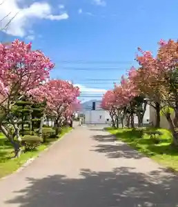 伊達神社の自然(2021年05月15日(土) 11時17分26秒投稿)
