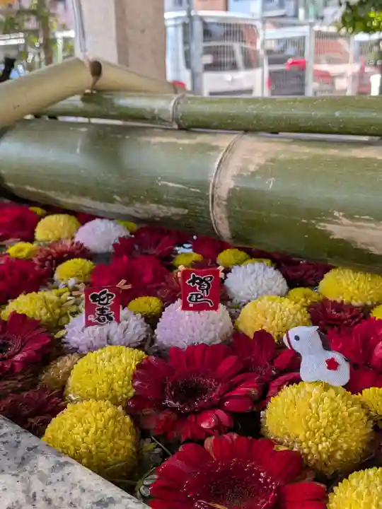 富岡八幡宮(東京都)