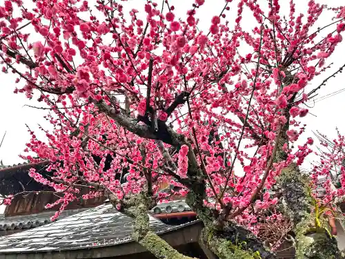 切幡寺(徳島県)