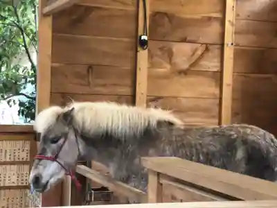 平塚八幡宮(神奈川県)
