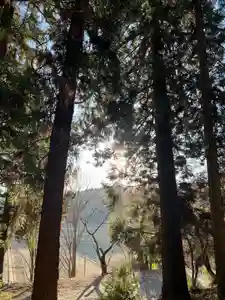 大宮温泉神社(栃木県)(2024年01月29日(月) 08時29分08秒投稿)