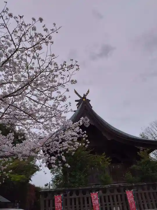 疋野神社(熊本県)